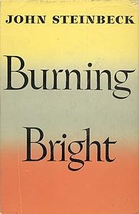 Burning Bright